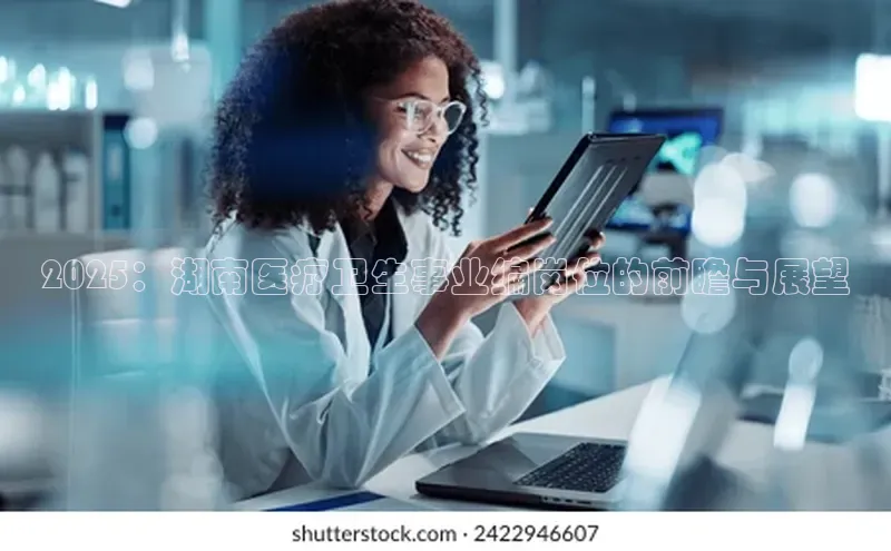 杏宇手游官网入口最新版本更新内容