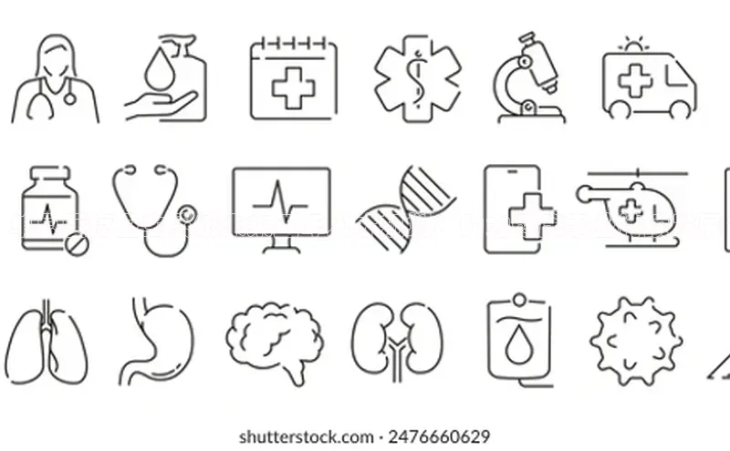 杏宇注册平台登录