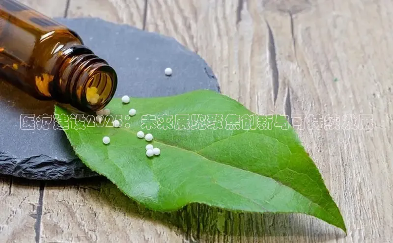 杏宇平台登录入口2024最新版