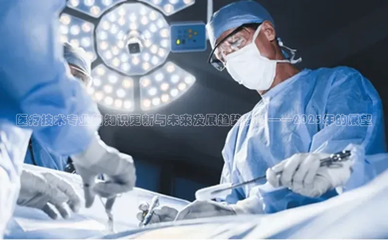 杏宇手游官网入口最新版本更新内容