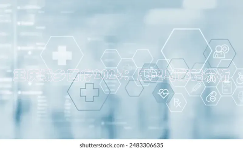 杏宇手游官网入口最新版本更新内容